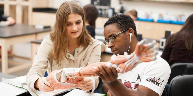 What Can You Do With A Biology Degree What Can You Do With A Biology Degree