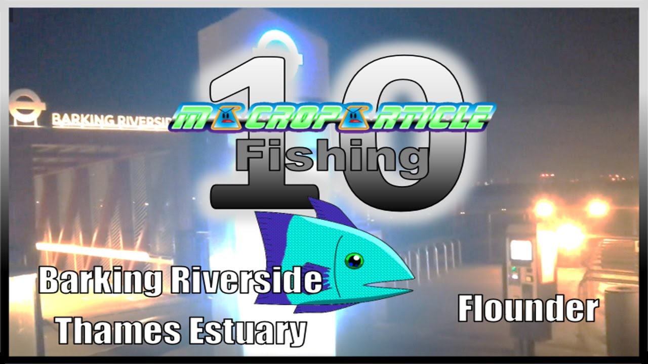 What Is Macroparticle And How Does It Change Our View Of Matter?