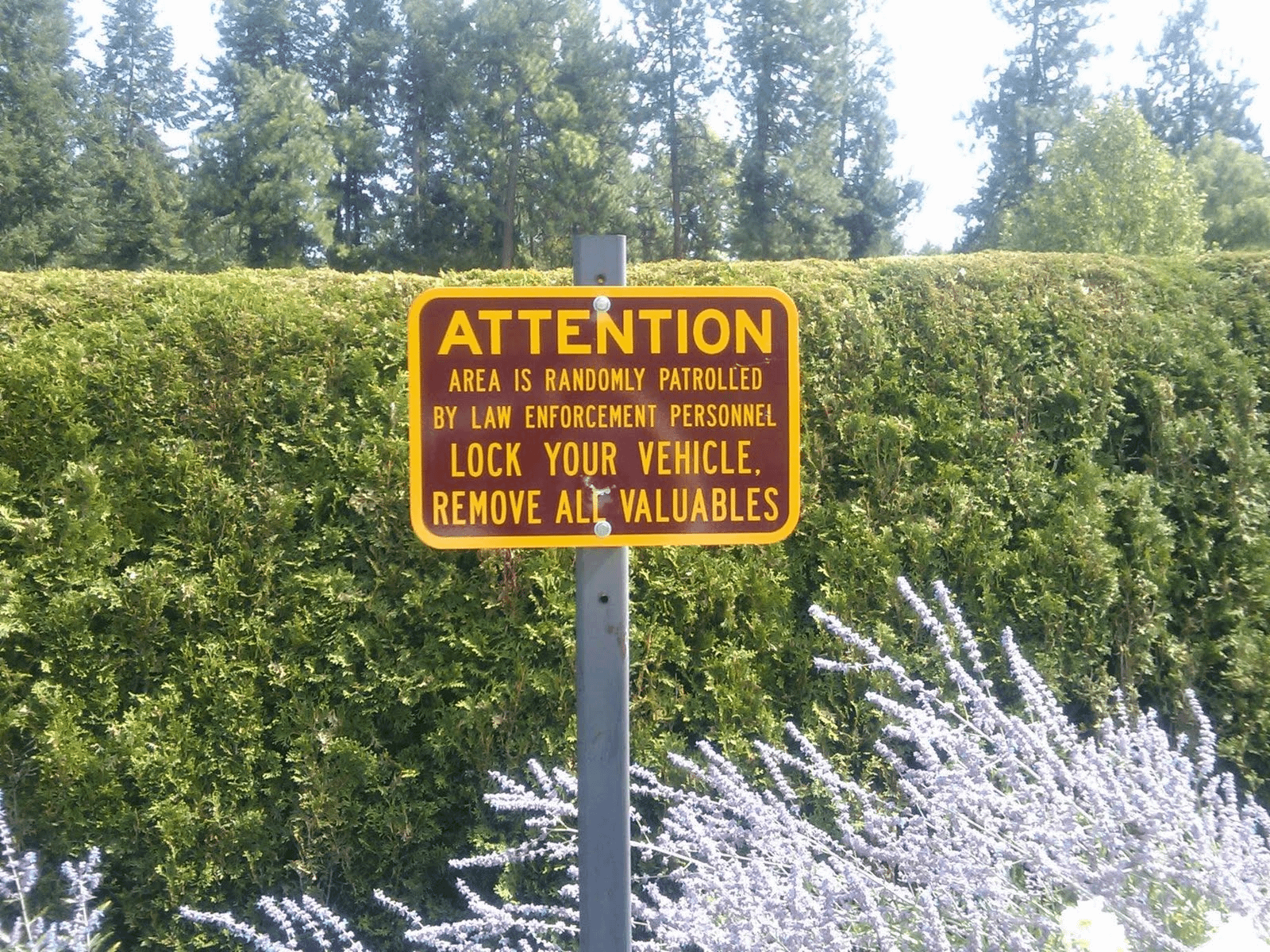 Whats A Random Patrols Vs Fixed Patrols: Which Is More Effective