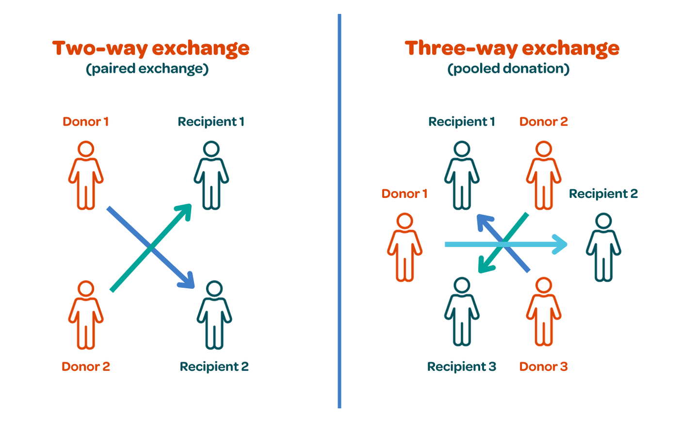 When The Pooled Crispr Screen Meets Kidney Organoids Toward The Identification Of New Genes And Pathways Kidney International When The Pooled Crispr Screen Meets Kidney Organoids Toward The Identification Of New Genes And Pathways Kidney International