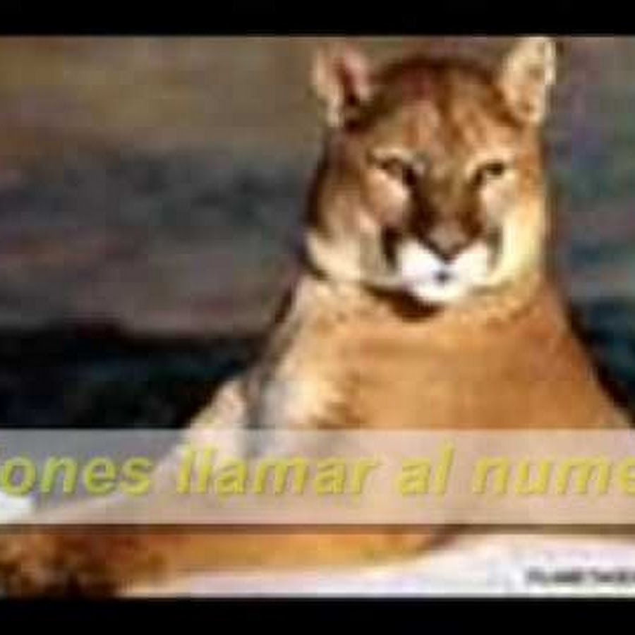 Beat Yoyo Ffect Drasing With A Quick Fix For Stable Weight