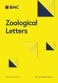 Unveiling the Mysteries of Zoological Sex